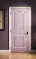  Skin Door 